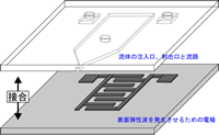 表面弾性波を利用したマイクロ流体制御